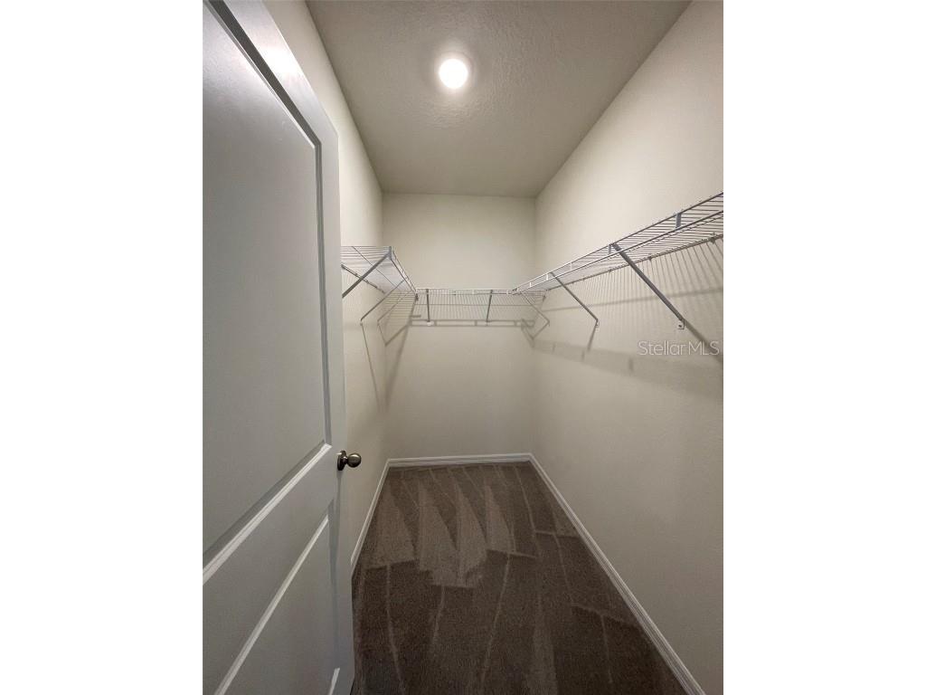 8434 Hardy Bay Loop Wesley Chapel FL 33545 TB8434627 image10