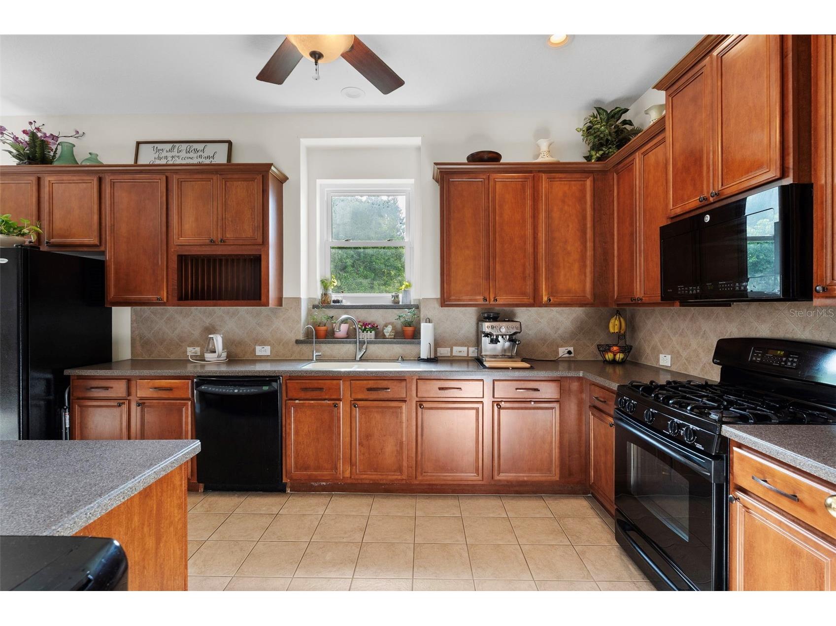 8434 Westerland Drive Land O Lakes FL 34637 - POND TB8504381 image15