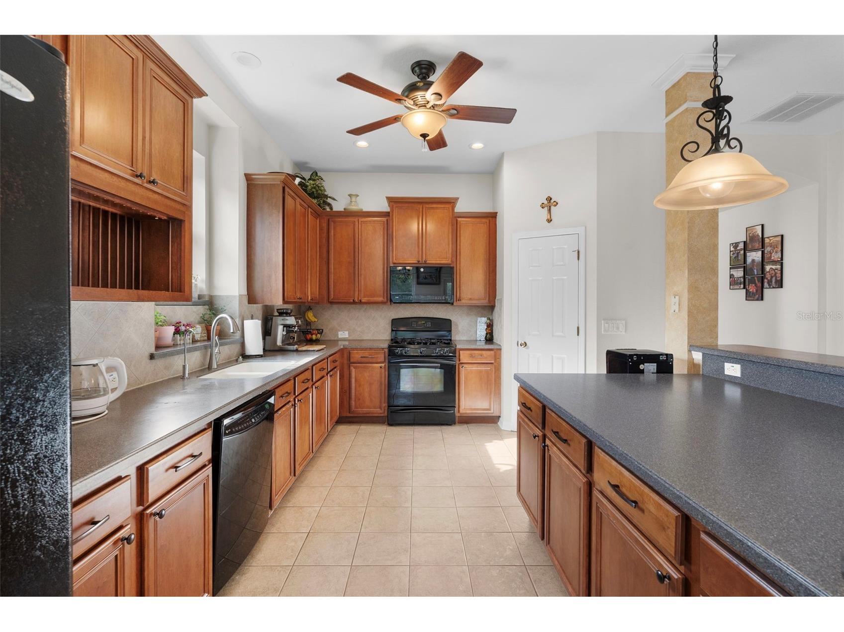 8434 Westerland Drive Land O Lakes FL 34637 - POND TB8504381 image17