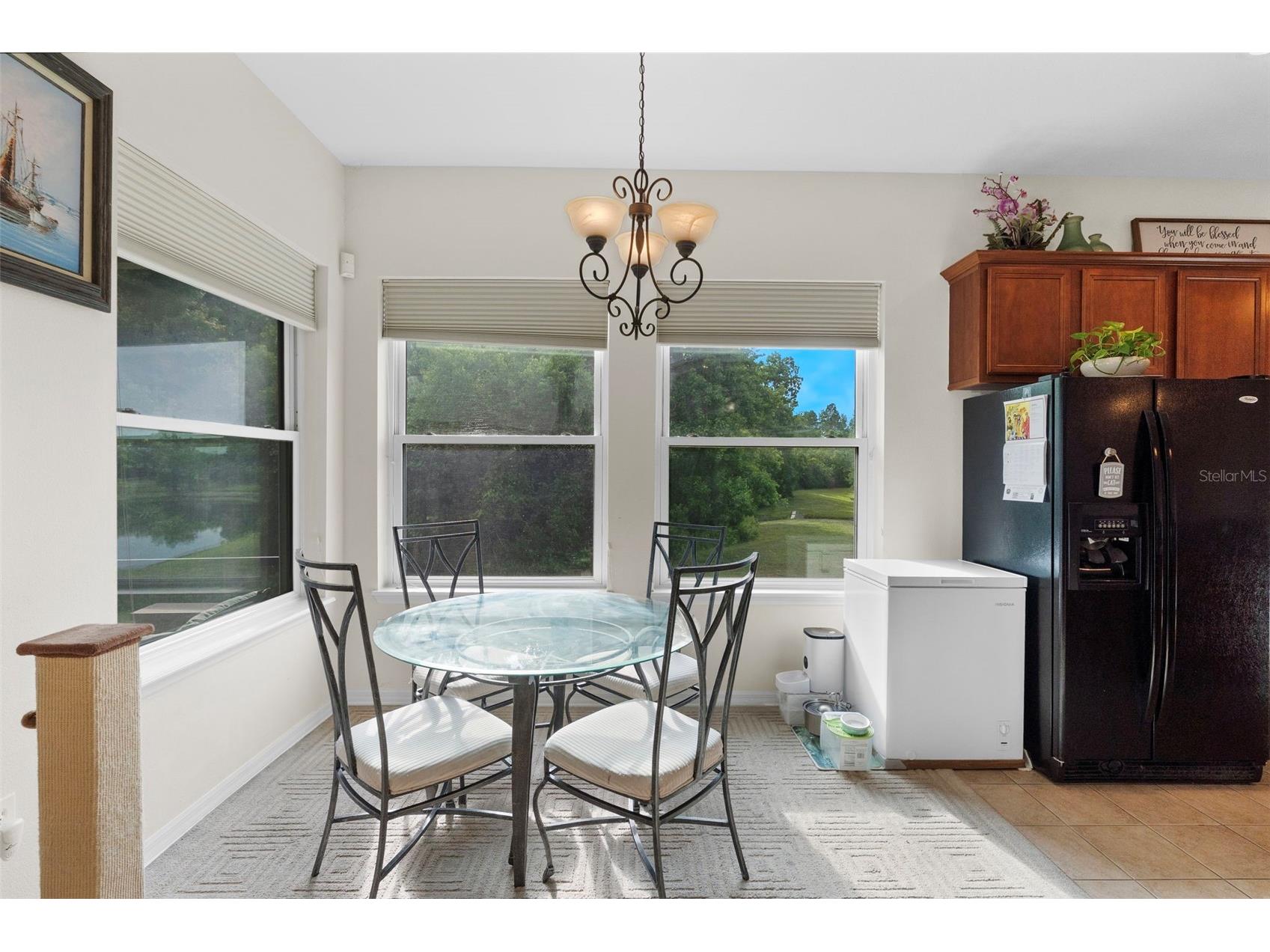 8434 Westerland Drive Land O Lakes FL 34637 - POND TB8504381 image19