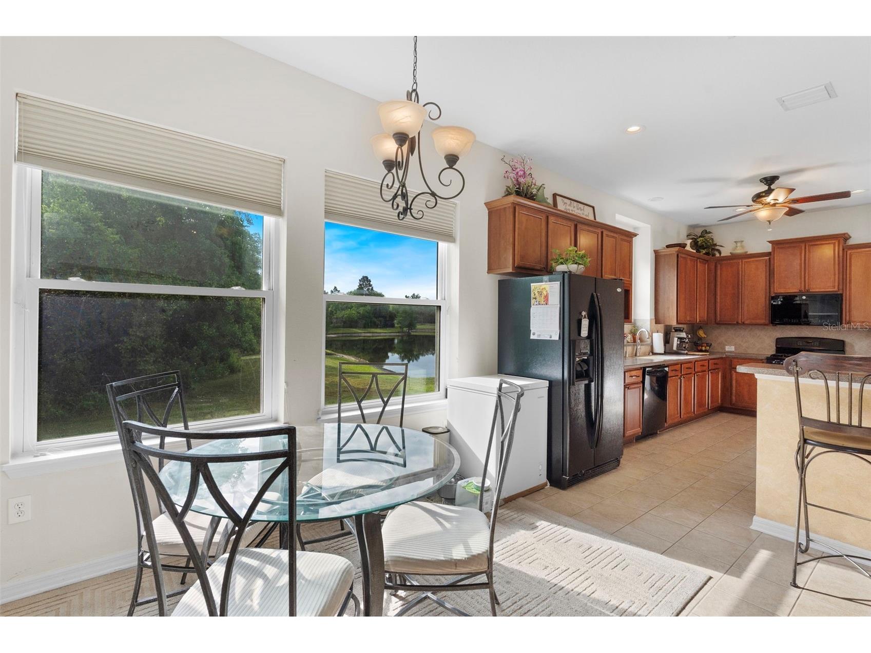 8434 Westerland Drive Land O Lakes FL 34637 - POND TB8504381 image20
