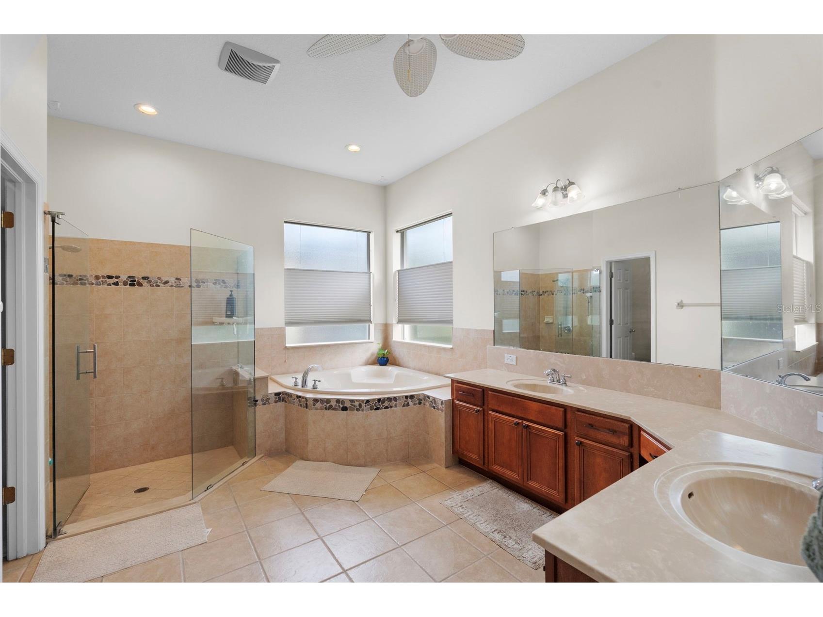 8434 Westerland Drive Land O Lakes FL 34637 - POND TB8504381 image29