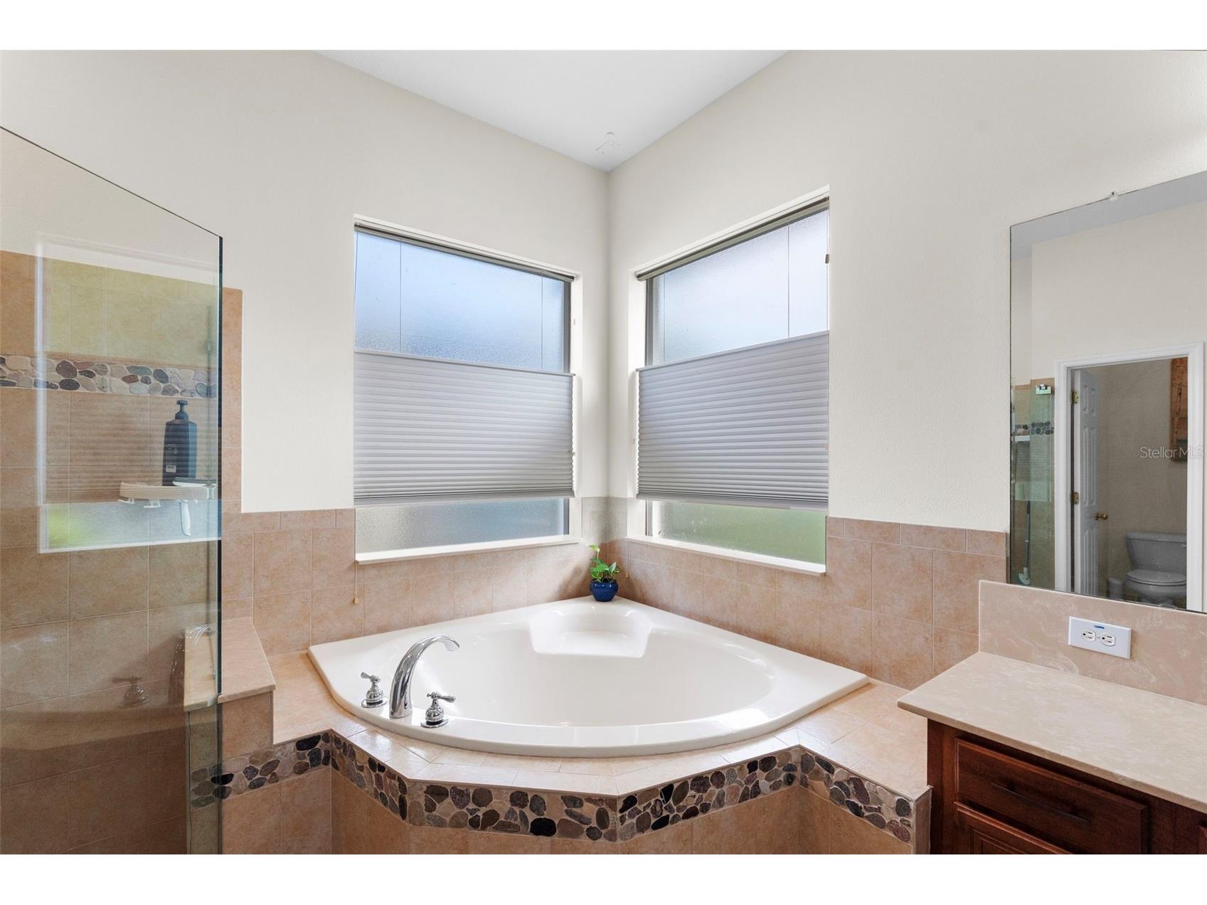 8434 Westerland Drive Land O Lakes FL 34637 - POND TB8504381 image30