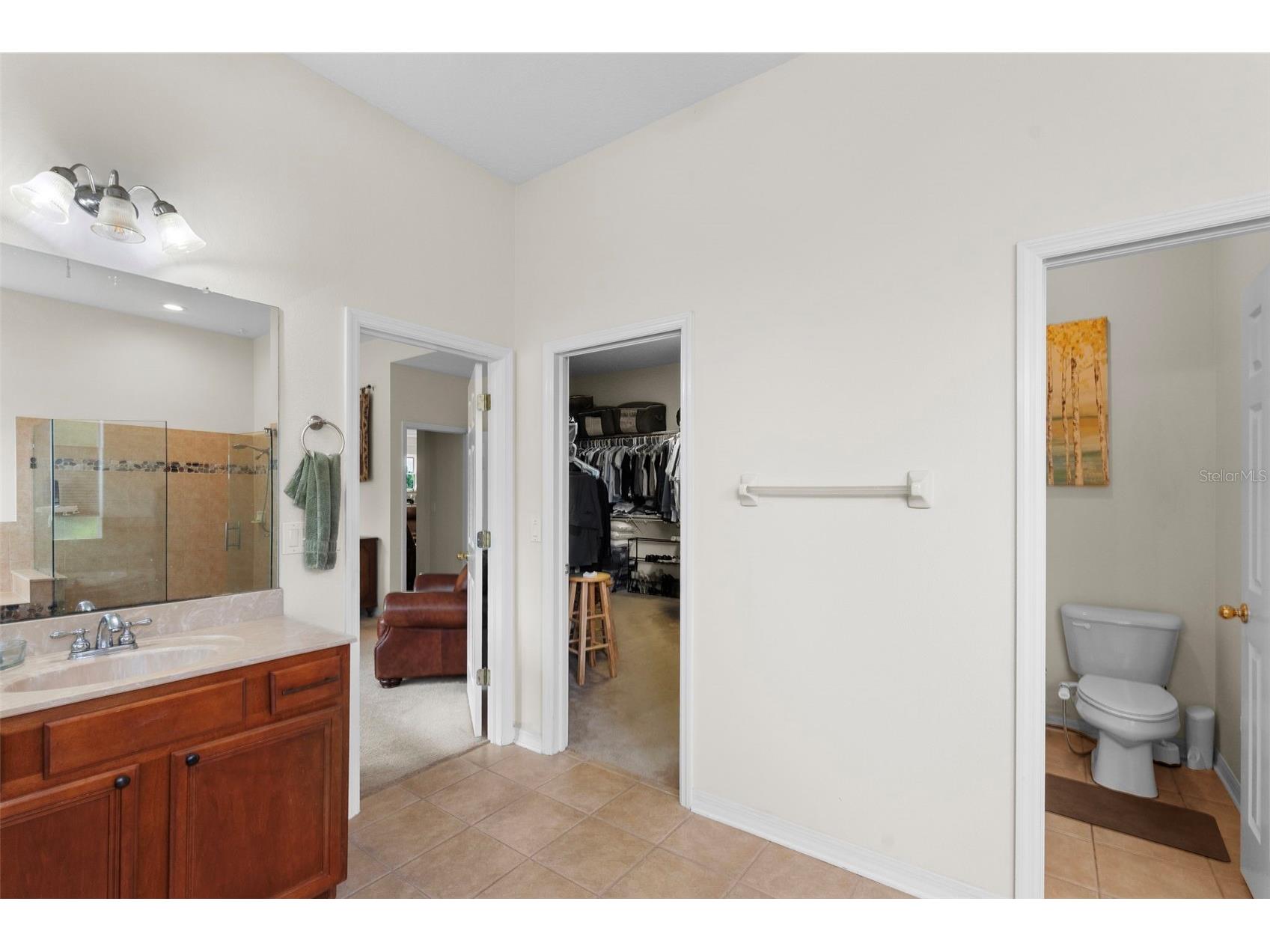 8434 Westerland Drive Land O Lakes FL 34637 - POND TB8504381 image31
