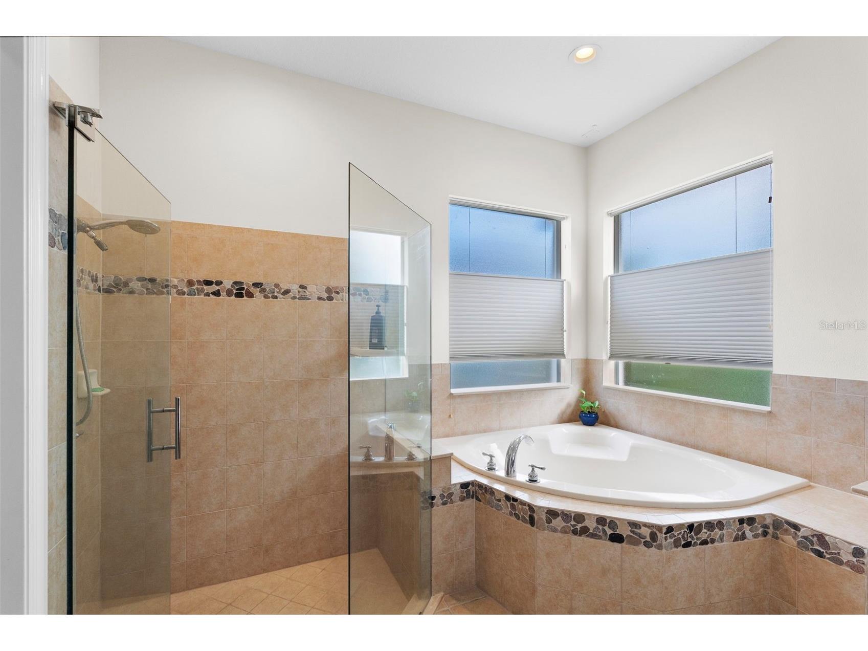 8434 Westerland Drive Land O Lakes FL 34637 - POND TB8504381 image33