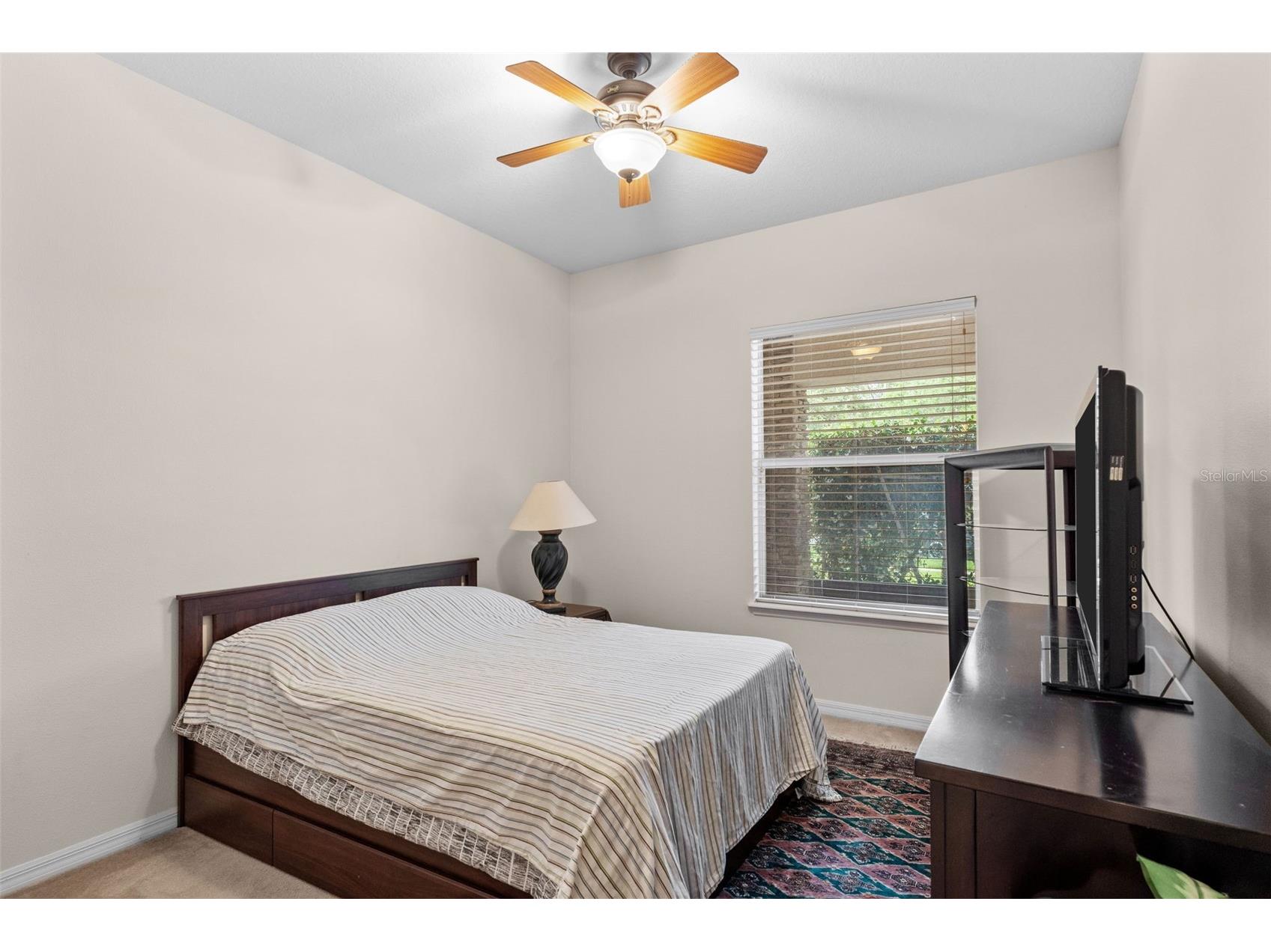 8434 Westerland Drive Land O Lakes FL 34637 - POND TB8504381 image38