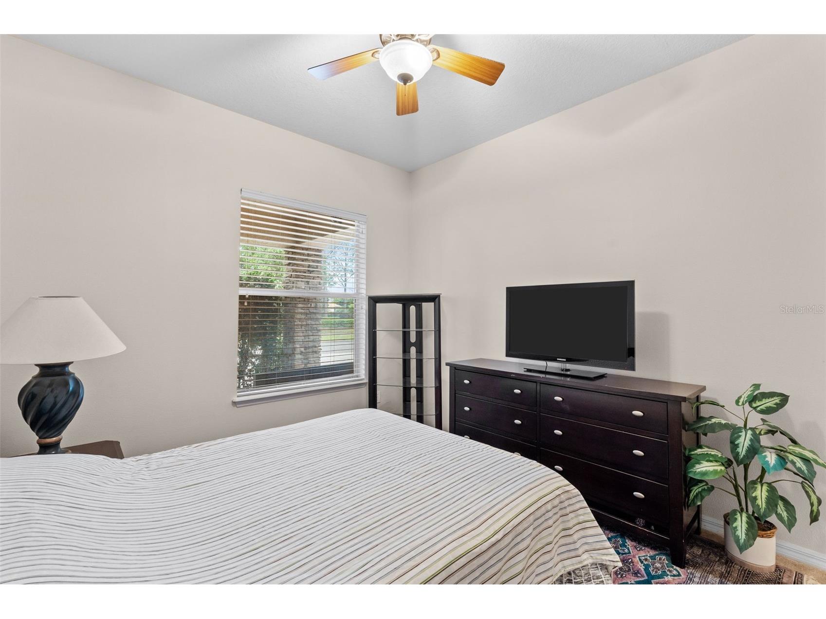 8434 Westerland Drive Land O Lakes FL 34637 - POND TB8504381 image39