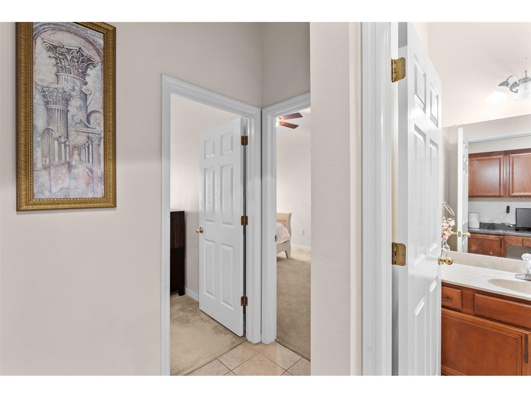 8434 Westerland Drive Land O Lakes FL 34637 - POND TB8504381 image43