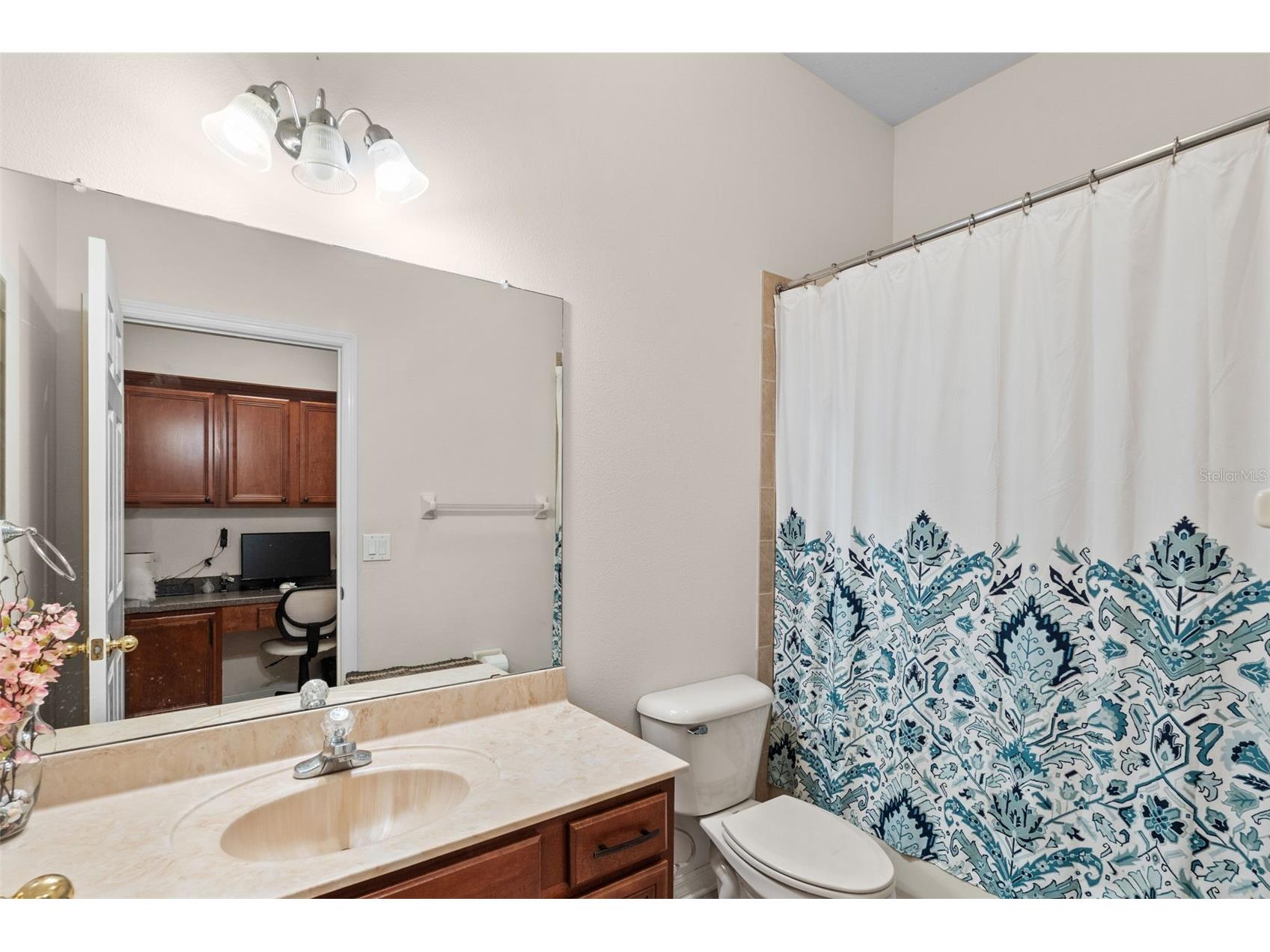 8434 Westerland Drive Land O Lakes FL 34637 - POND TB8504381 image44