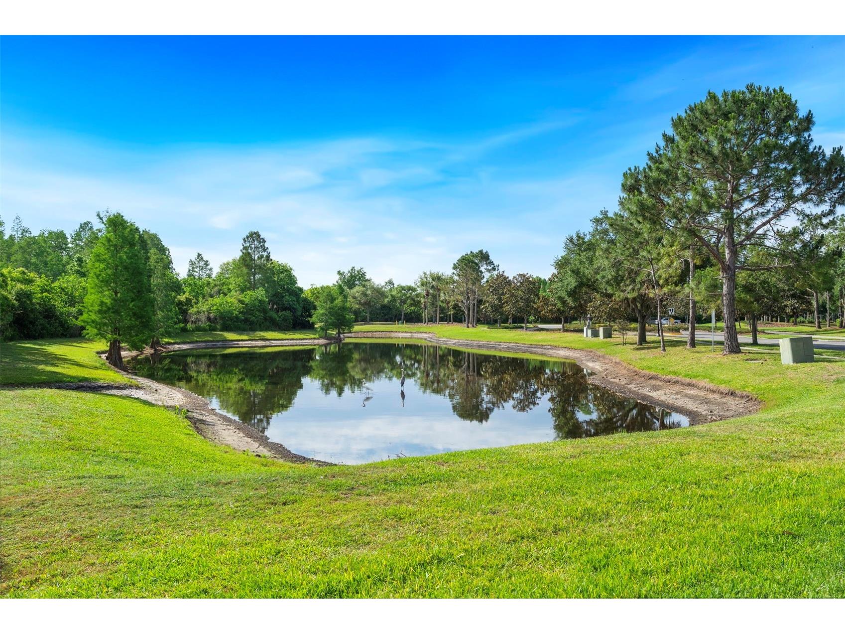 8434 Westerland Drive Land O Lakes FL 34637 - POND TB8504381 image59