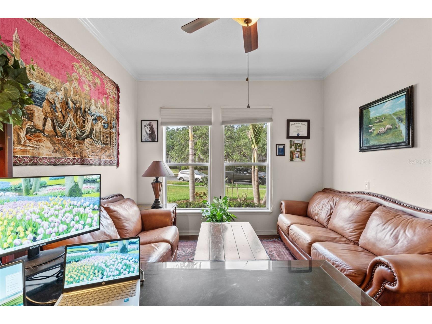 8434 Westerland Drive Land O Lakes FL 34637 - POND TB8504381 image6