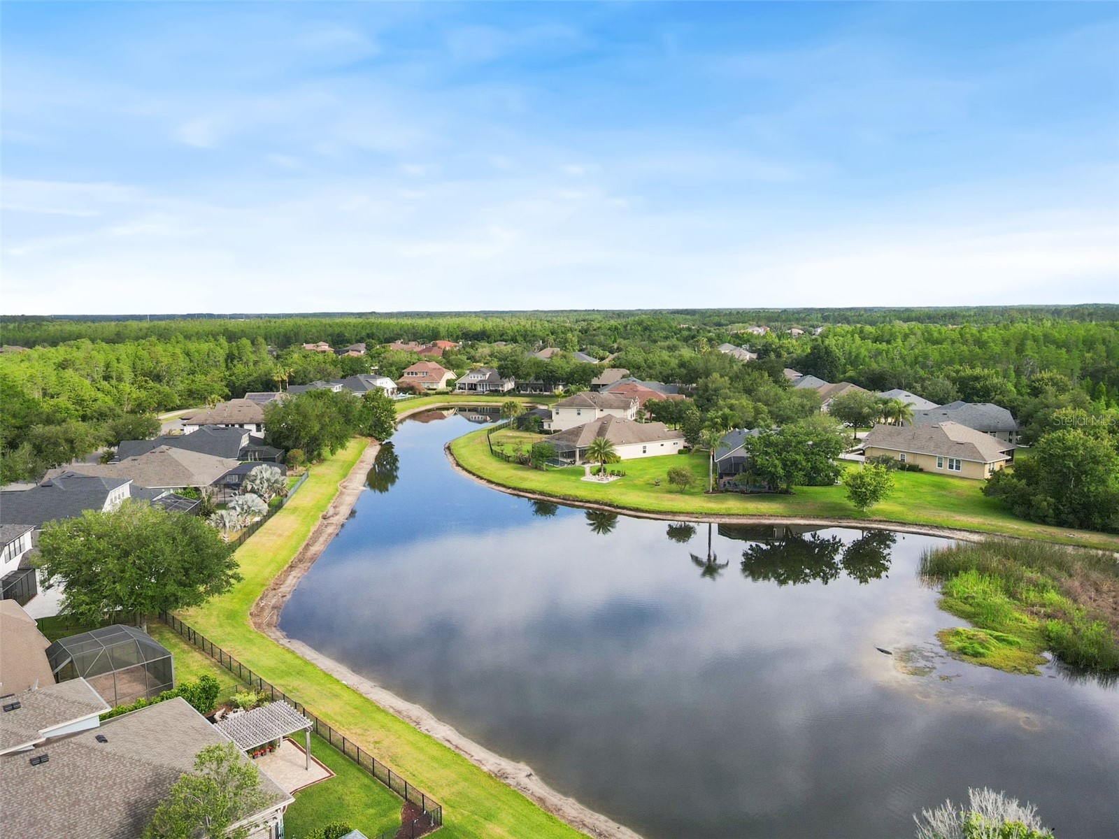 8434 Westerland Drive Land O Lakes FL 34637 - POND TB8504381 image75
