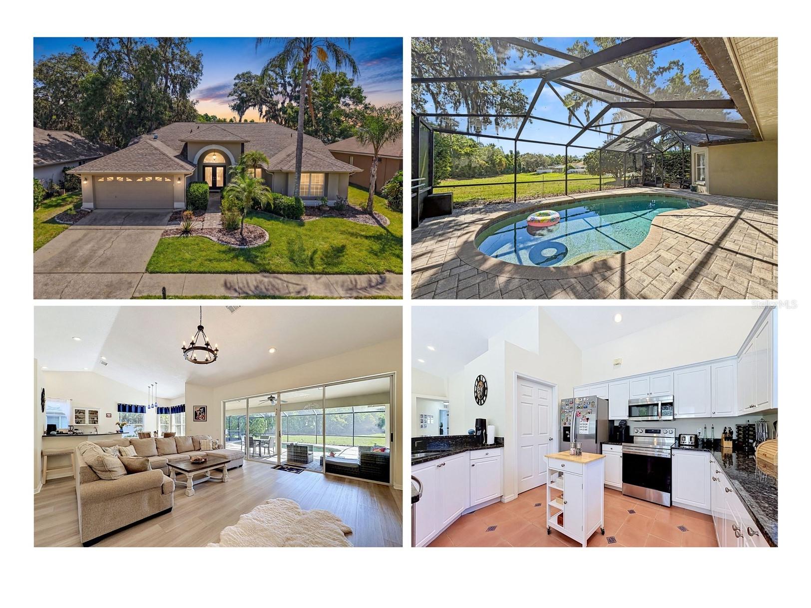 8435 Basuto Dr Trinity FL 34655 W7885353 image1