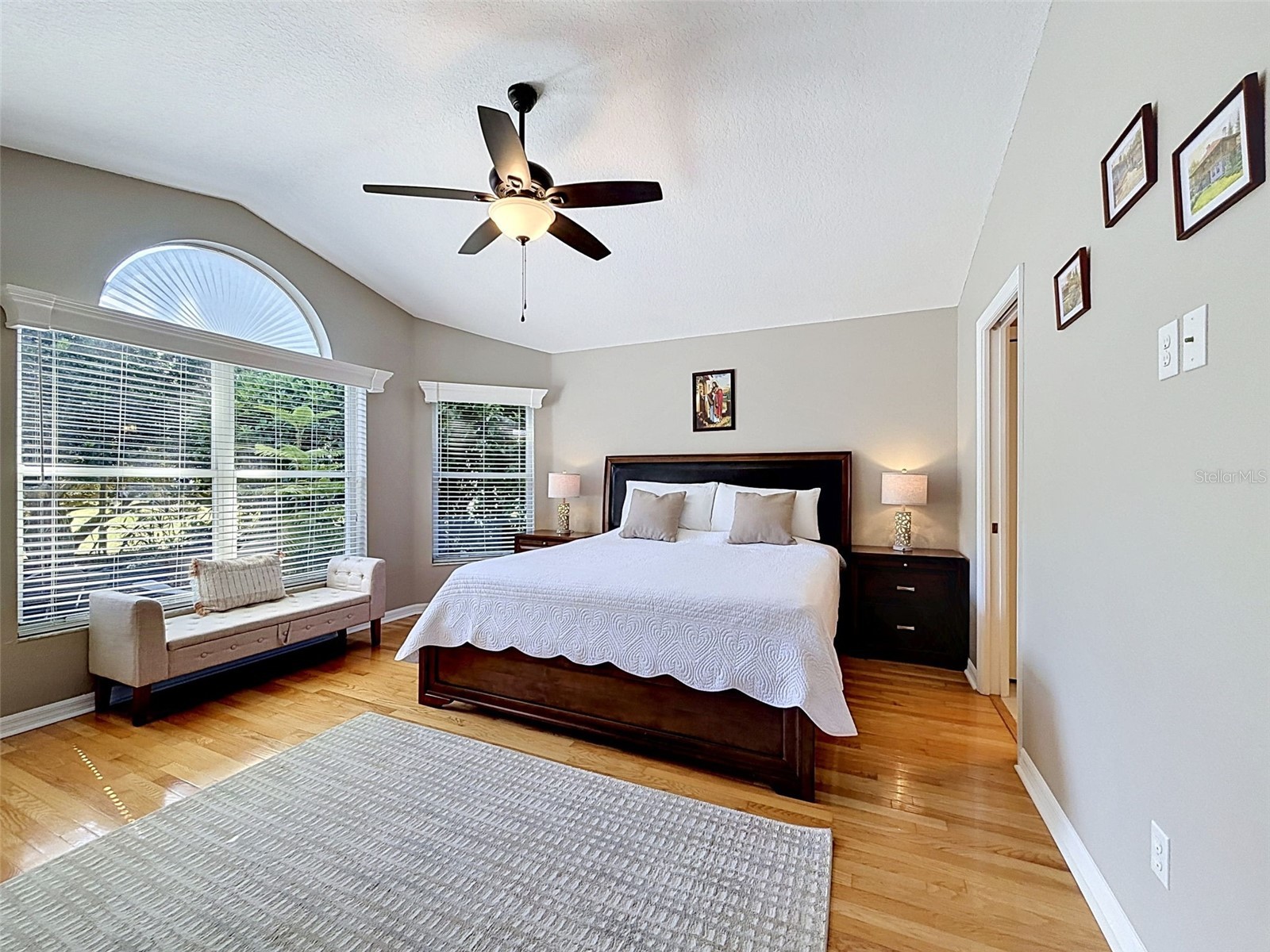 8435 Basuto Dr Trinity FL 34655 W7885353 image12