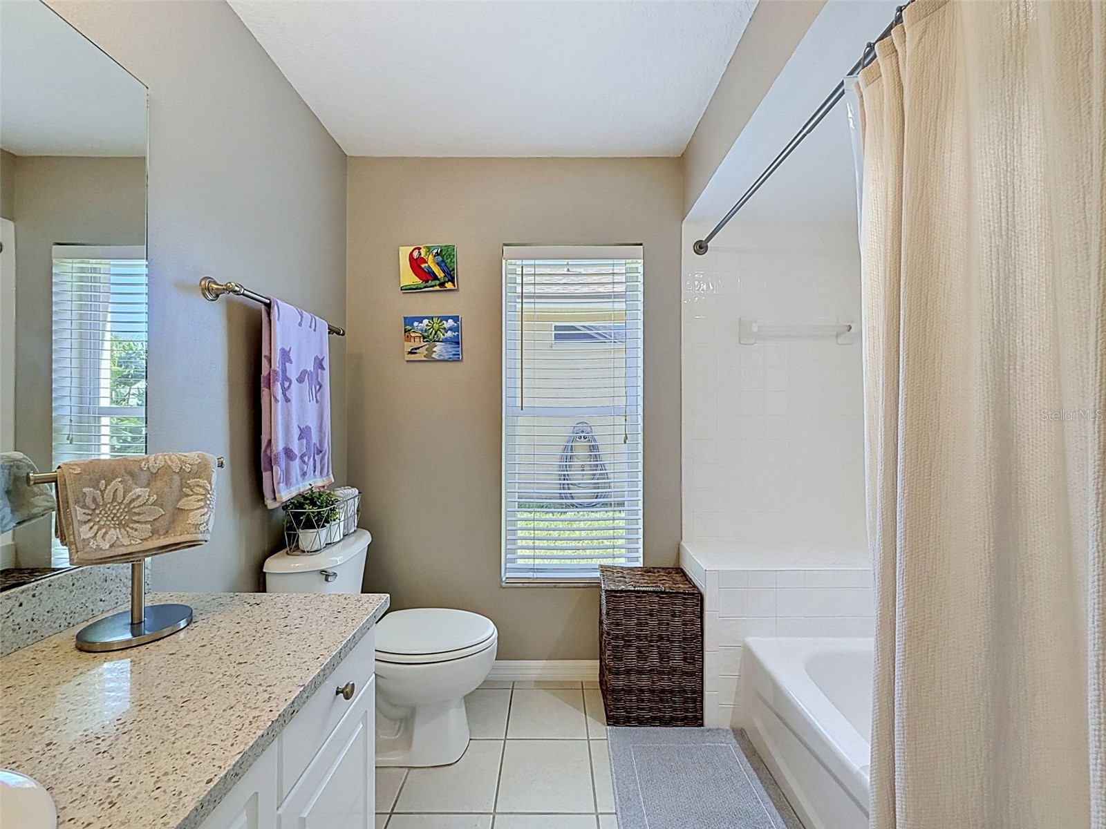 8435 Basuto Dr Trinity FL 34655 W7885353 image21