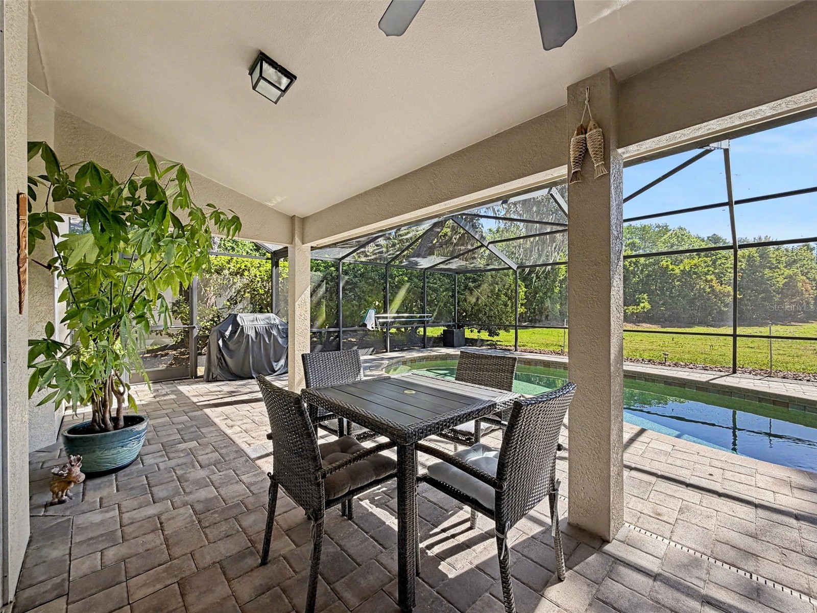 8435 Basuto Dr Trinity FL 34655 W7885353 image26