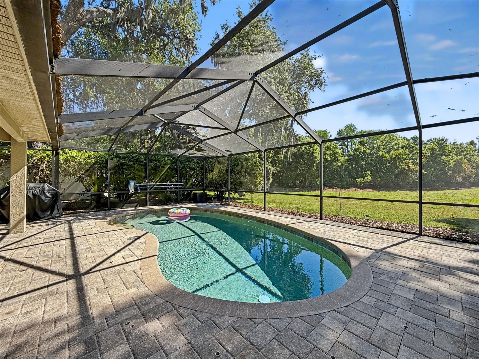 8435 Basuto Dr Trinity FL 34655 W7885353 image28