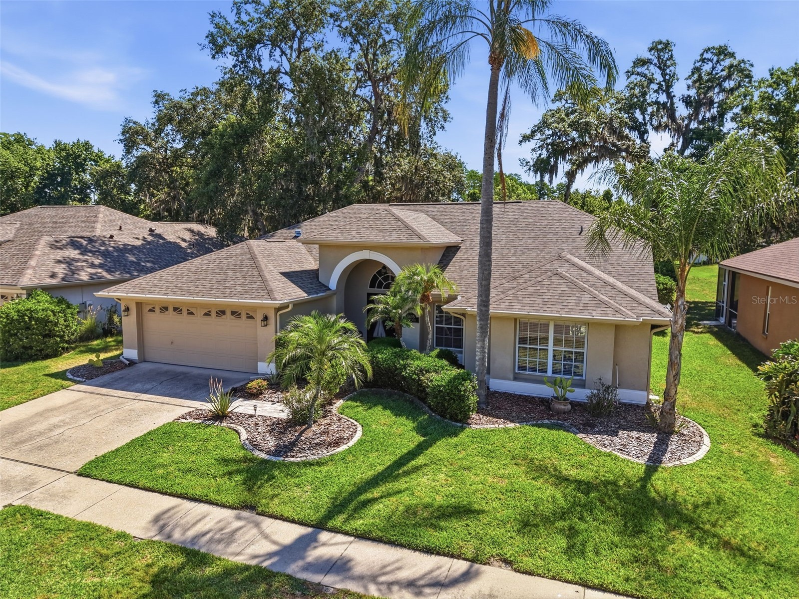 8435 Basuto Dr Trinity FL 34655 W7885353 image29