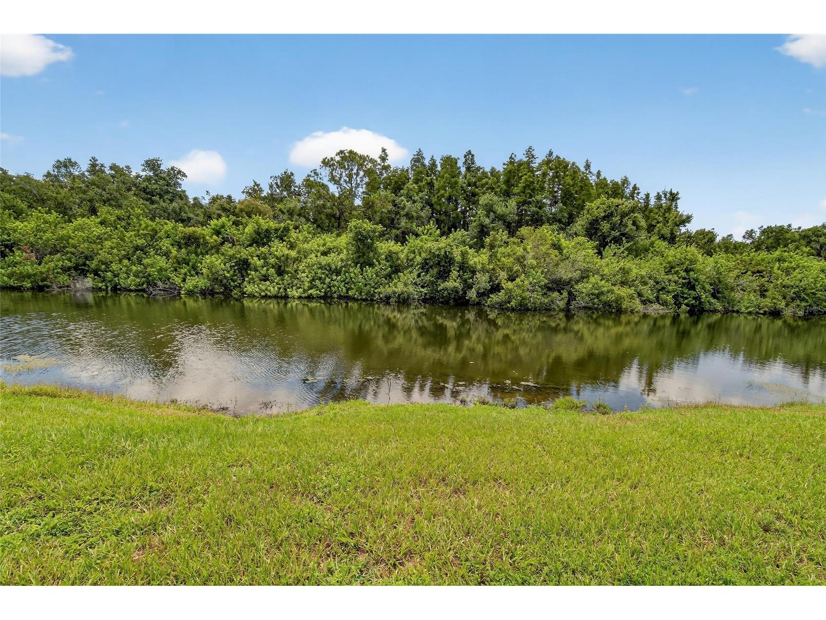 8435 Hunters Fork Loop Ruskin FL 33573 TB8415930 image13