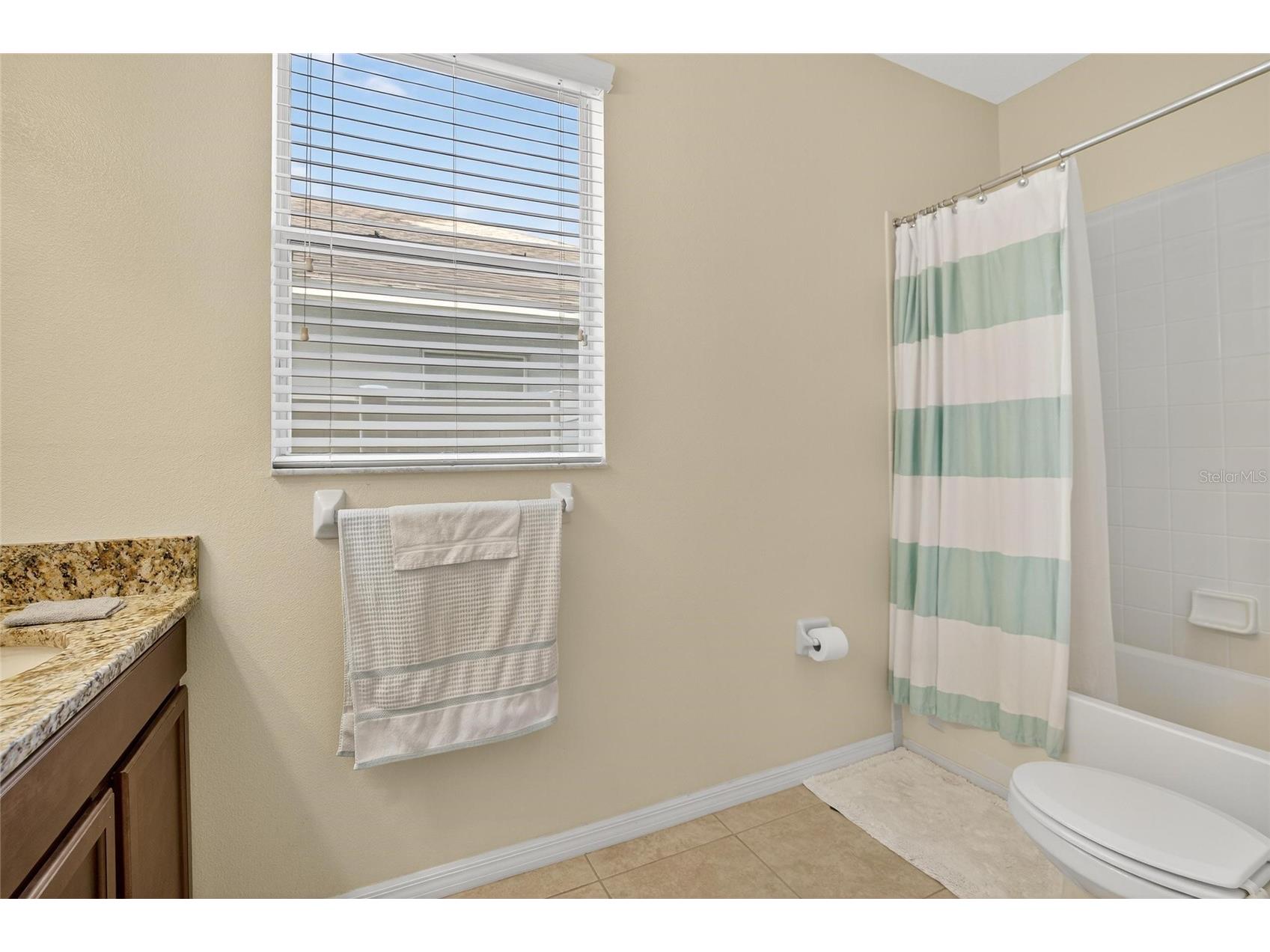 8435 Hunters Fork Loop Ruskin FL 33573 TB8415930 image33