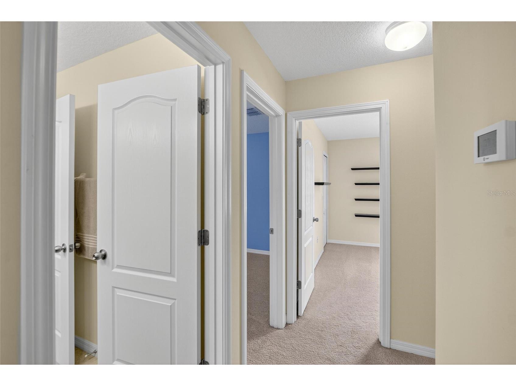 8435 Hunters Fork Loop Ruskin FL 33573 TB8415930 image41