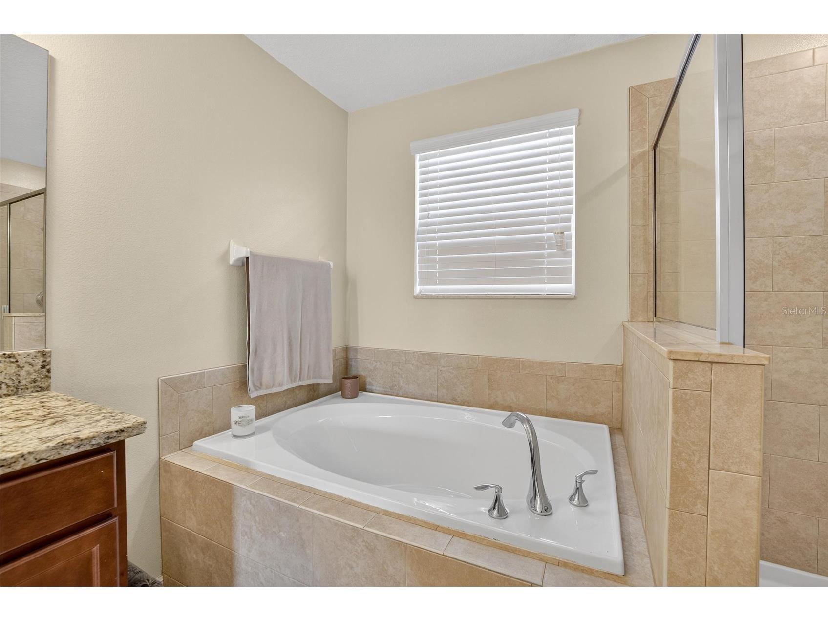 8435 Hunters Fork Loop Ruskin FL 33573 TB8415930 image49