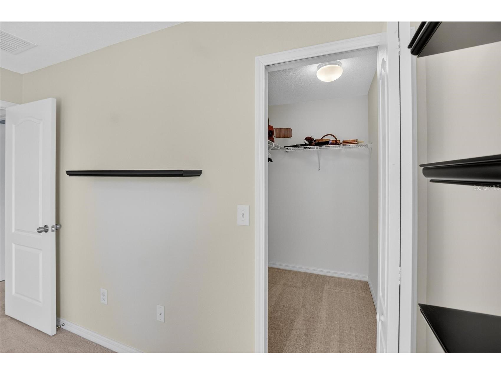 8435 Hunters Fork Loop Ruskin FL 33573 TB8415930 image59