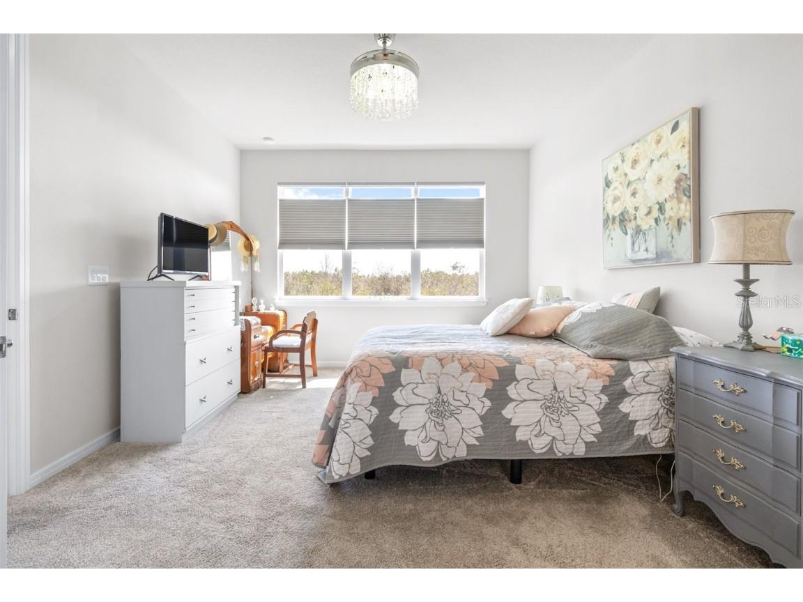 8435 Ocean Tides Cove Parrish FL 34219 TB8354682 image30