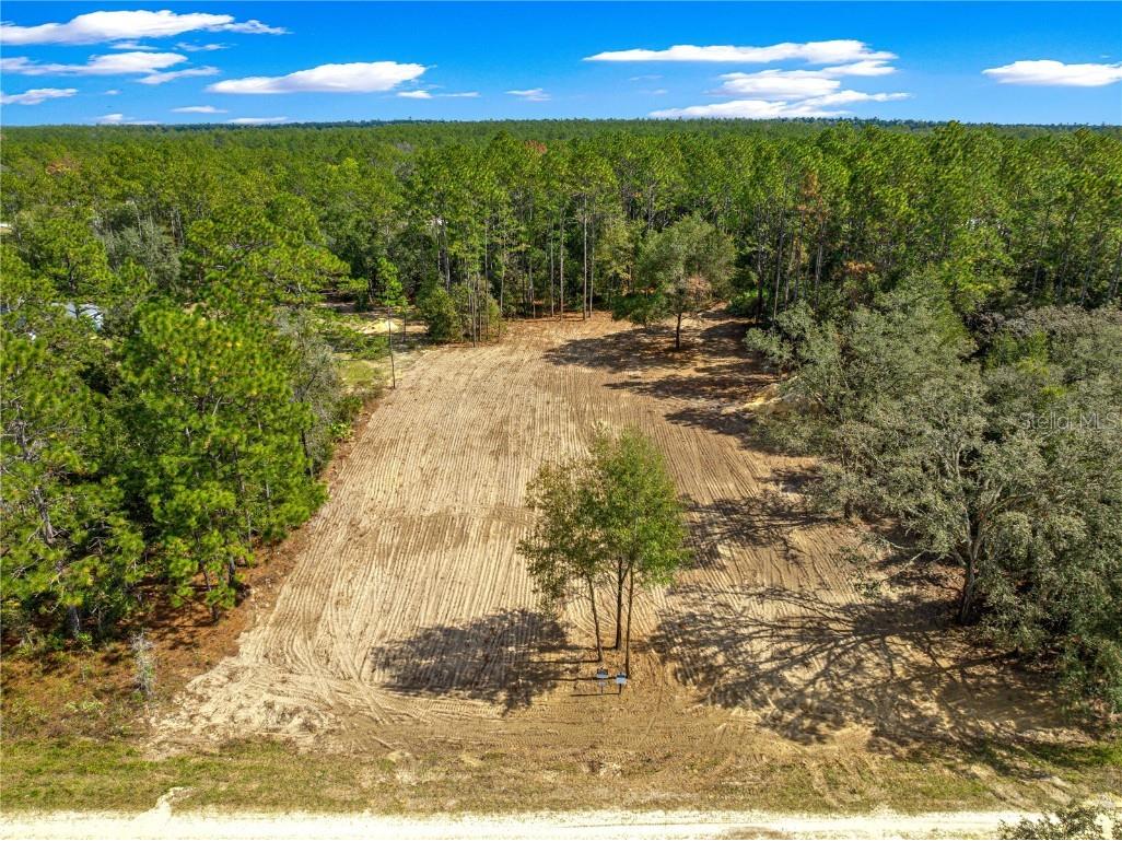 8435 SW 130 Terrace Dunnellon FL 34432 O6351475 image2