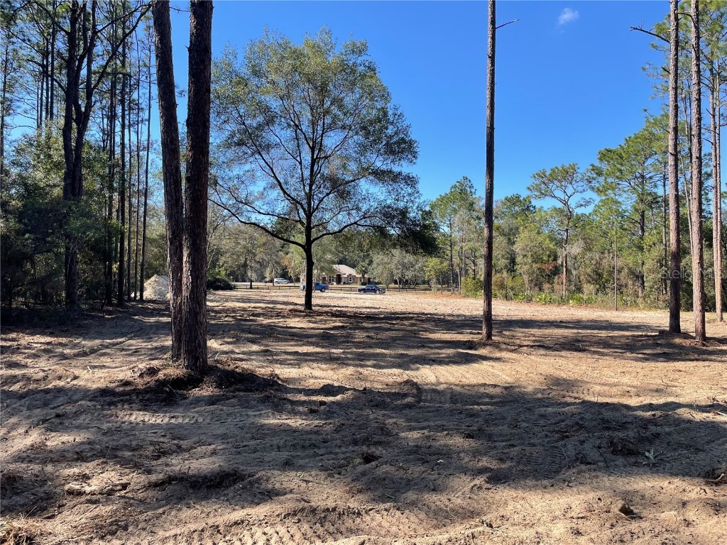 8435 SW 130 Terrace Dunnellon FL 34432 O6351475 image4