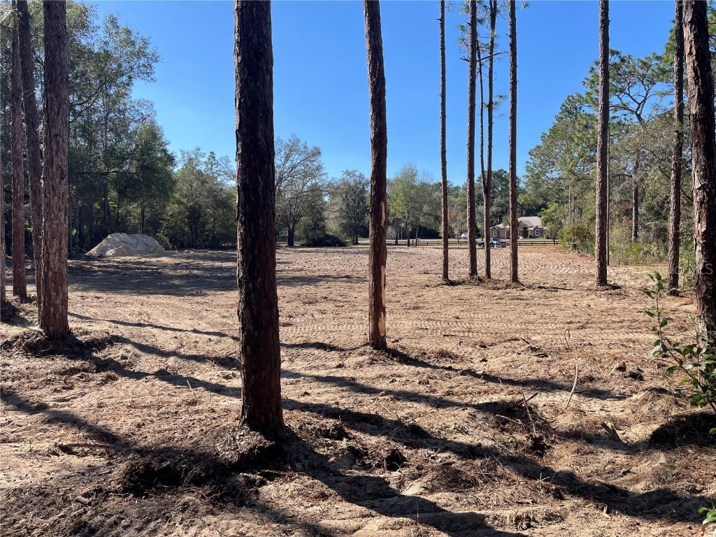 8435 SW 130 Terrace Dunnellon FL 34432 O6351475 image5