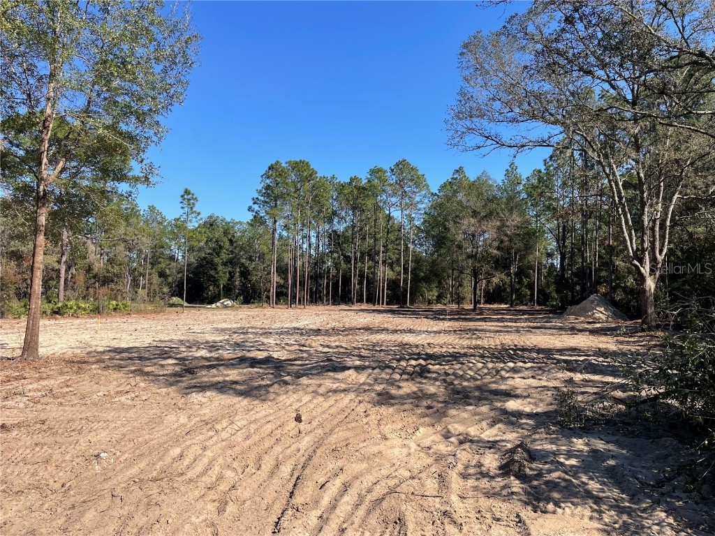 8435 SW 130 Terrace Dunnellon FL 34432 O6351475 image6