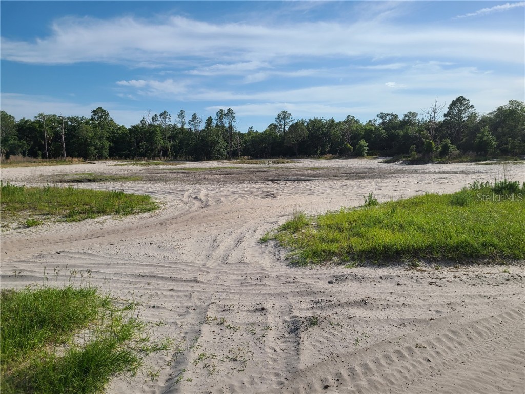 8436 N Erin Drive Crystal River FL 34428 OM677444 image10