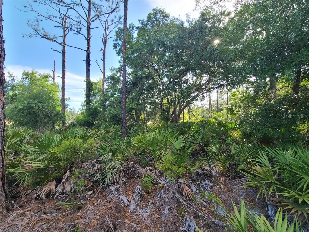 8436 N Erin Drive Crystal River FL 34428 OM677444 image11