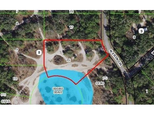 8436 N Erin Drive Crystal River FL 34428 OM677444 image4