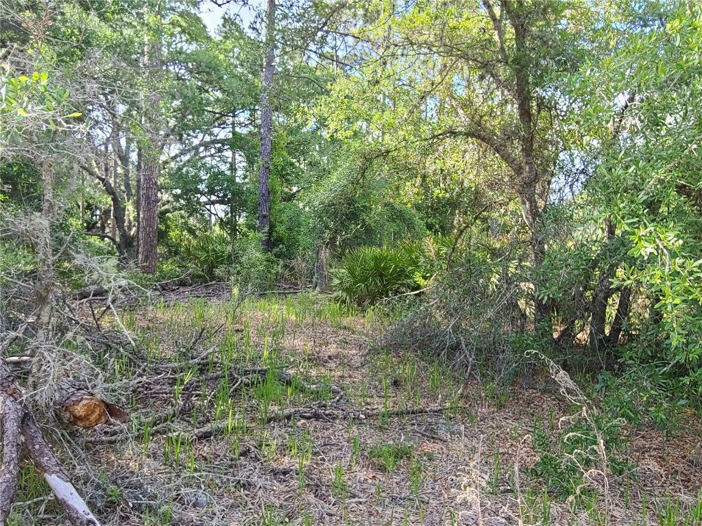 8436 N Erin Drive Crystal River FL 34428 OM677444 image7