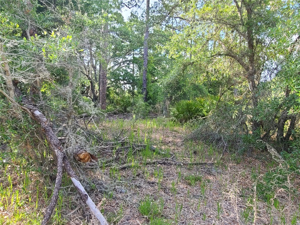 8436 N Erin Drive Crystal River FL 34428 OM677444 image8