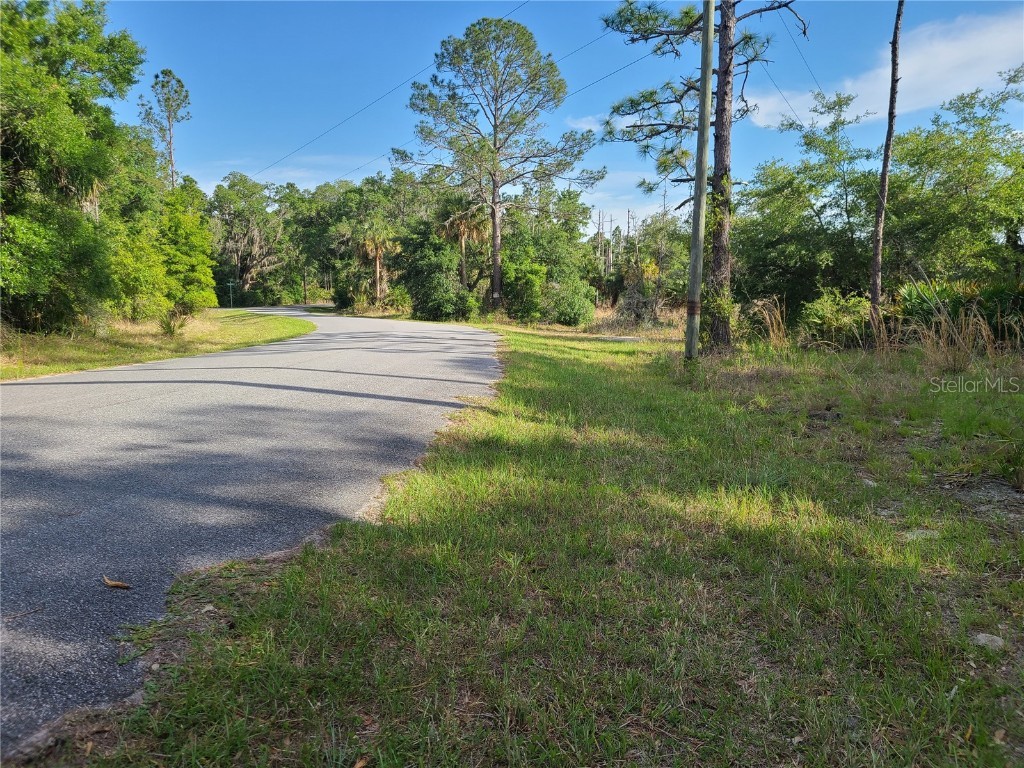 8436 N Erin Drive Crystal River FL 34428 OM677444 image9