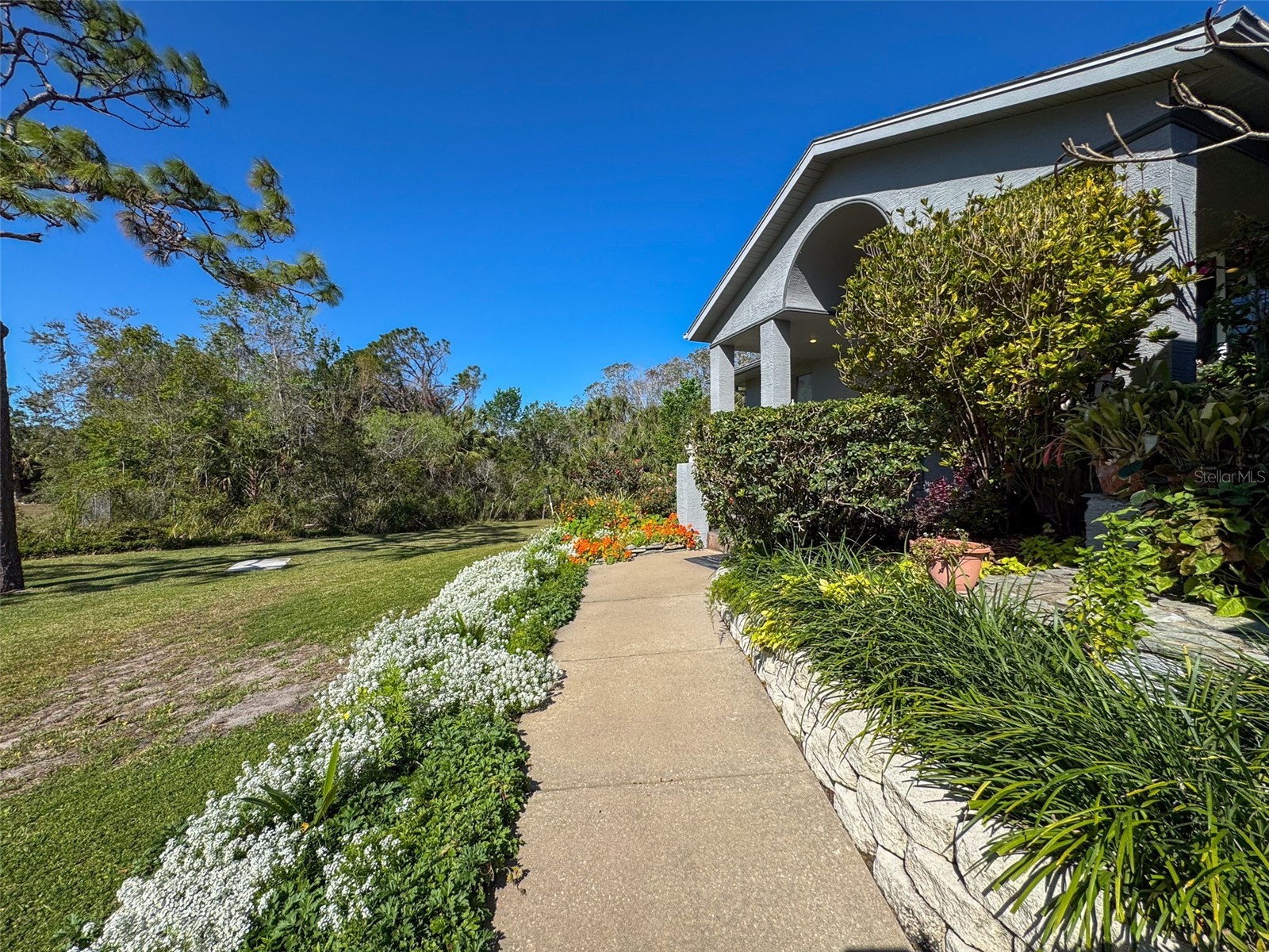 8437 Indies Drive Hudson FL 34667 TB8363369 image13