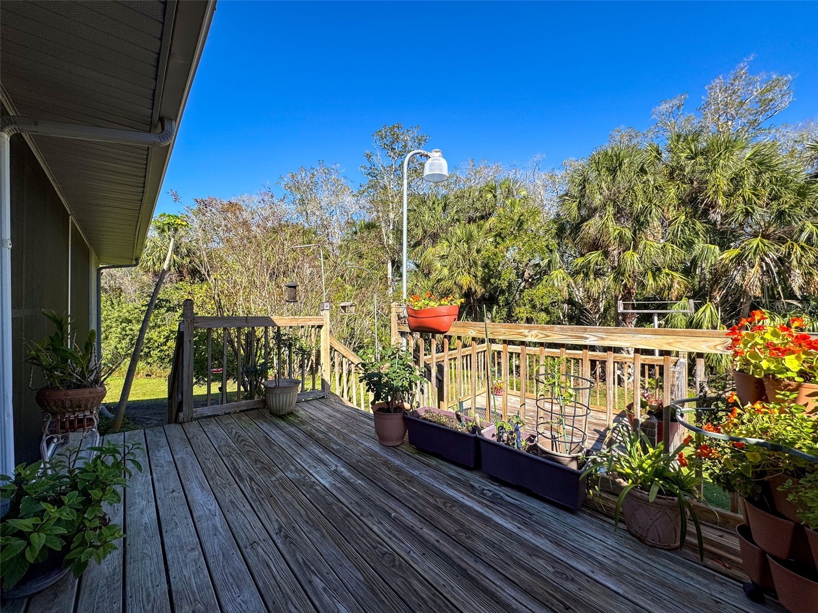 8437 Indies Drive Hudson FL 34667 TB8363369 image46