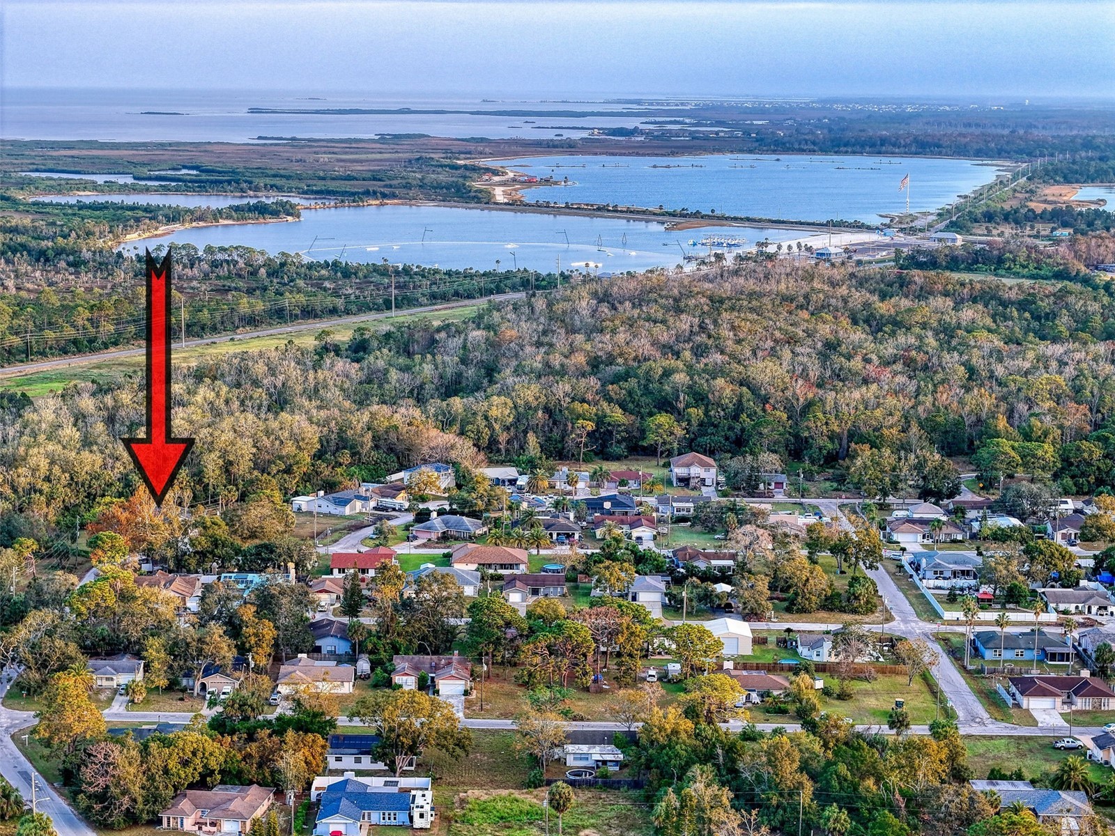 8437 Indies Drive Hudson FL 34667 TB8363369 image5
