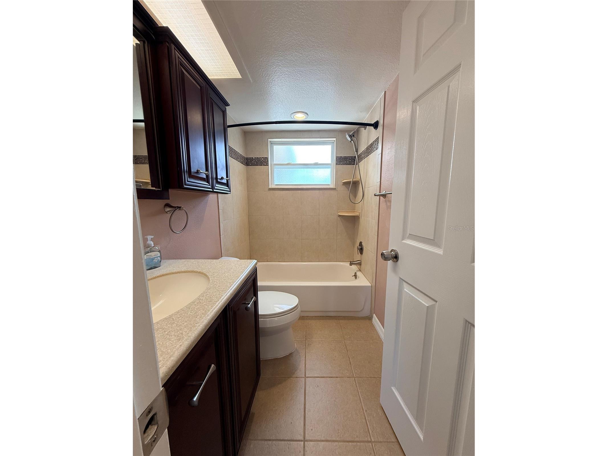 8437 Luray Drive Port Richey FL 34668 TB8519503 image12
