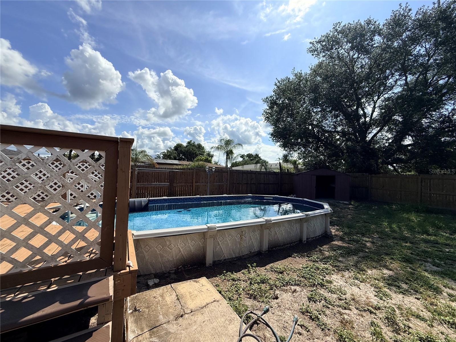 8437 Luray Drive Port Richey FL 34668 TB8519503 image21