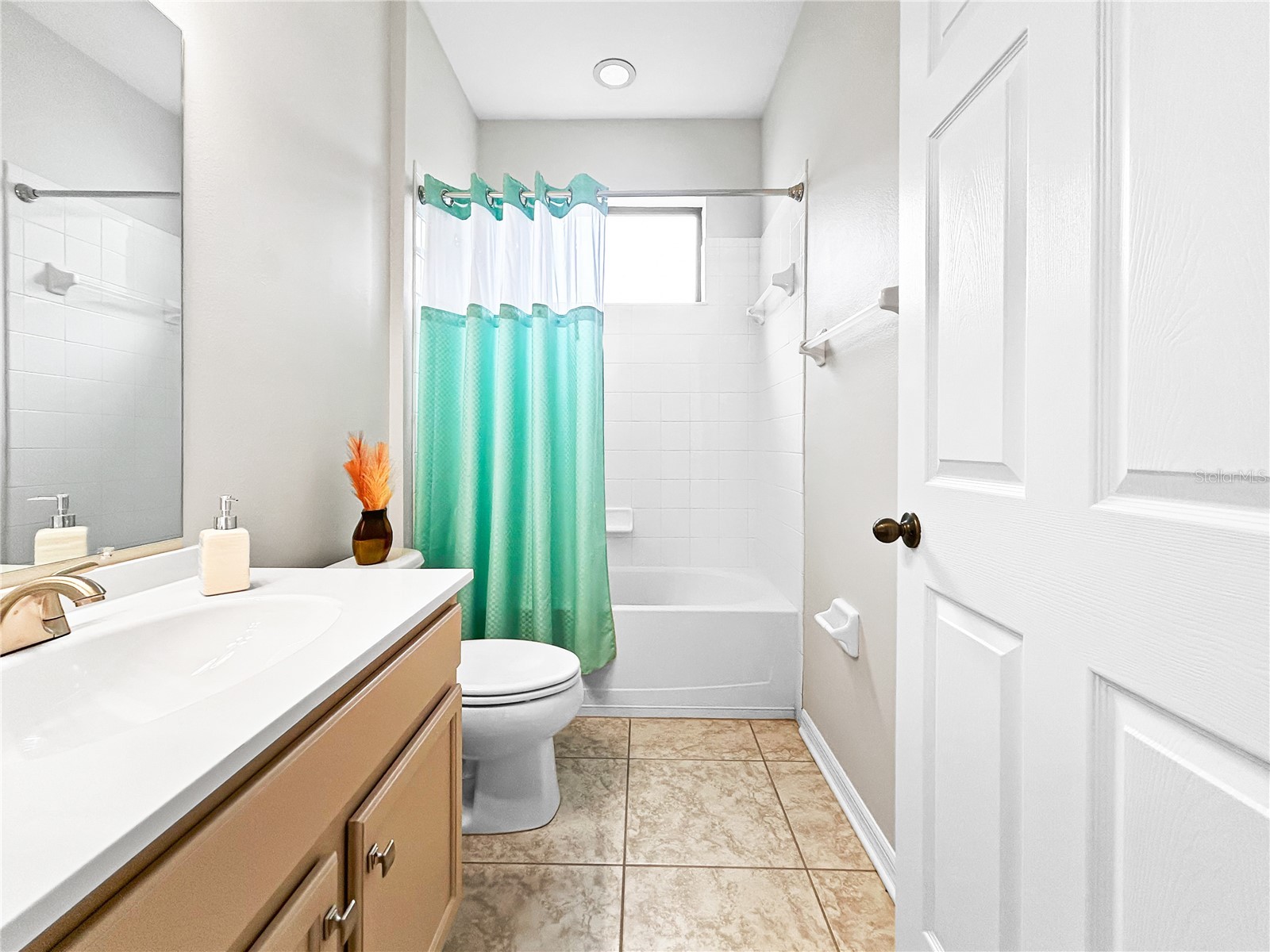 8437 White Poplar Drive Riverview FL 33578 TB8481470 image34