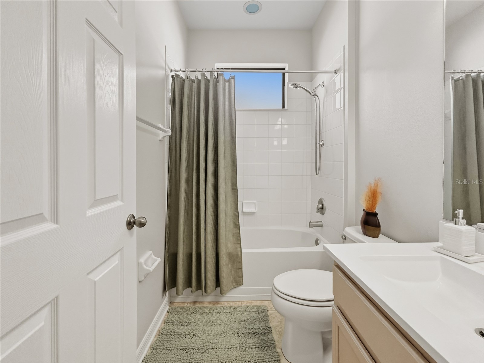 8437 White Poplar Drive Riverview FL 33578 TB8481470 image37