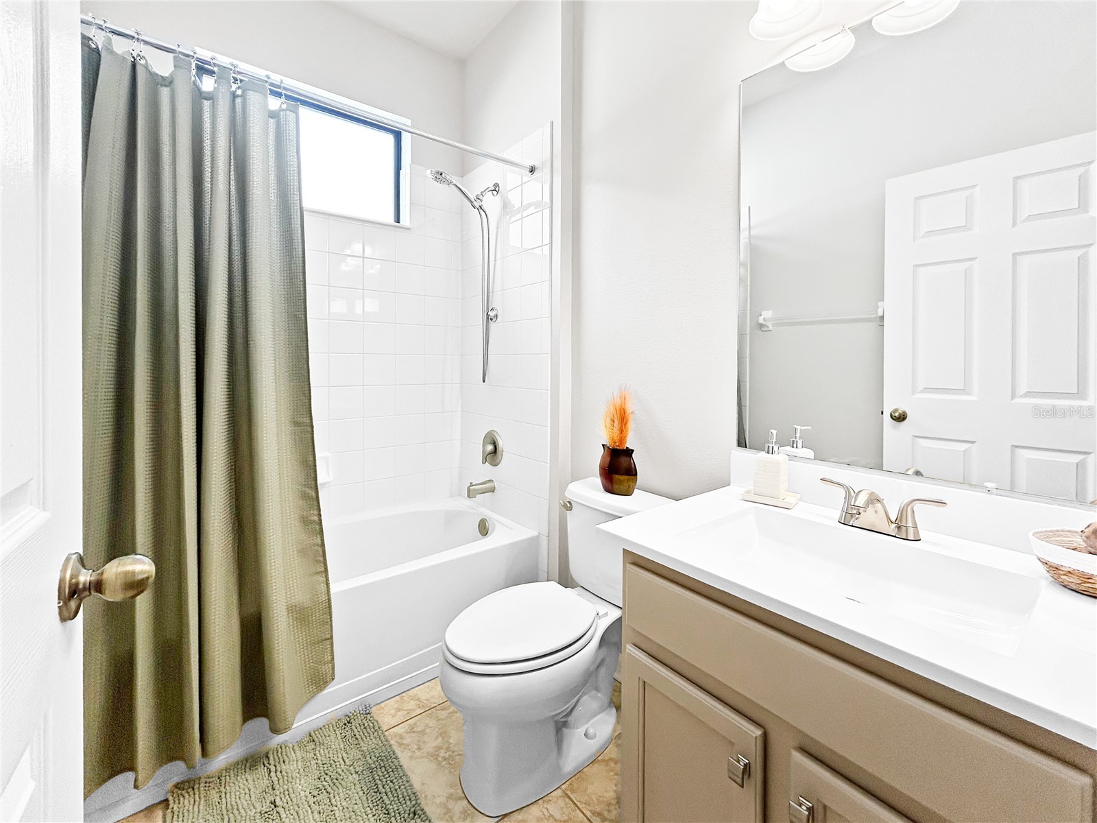 8437 White Poplar Drive Riverview FL 33578 TB8481470 image38