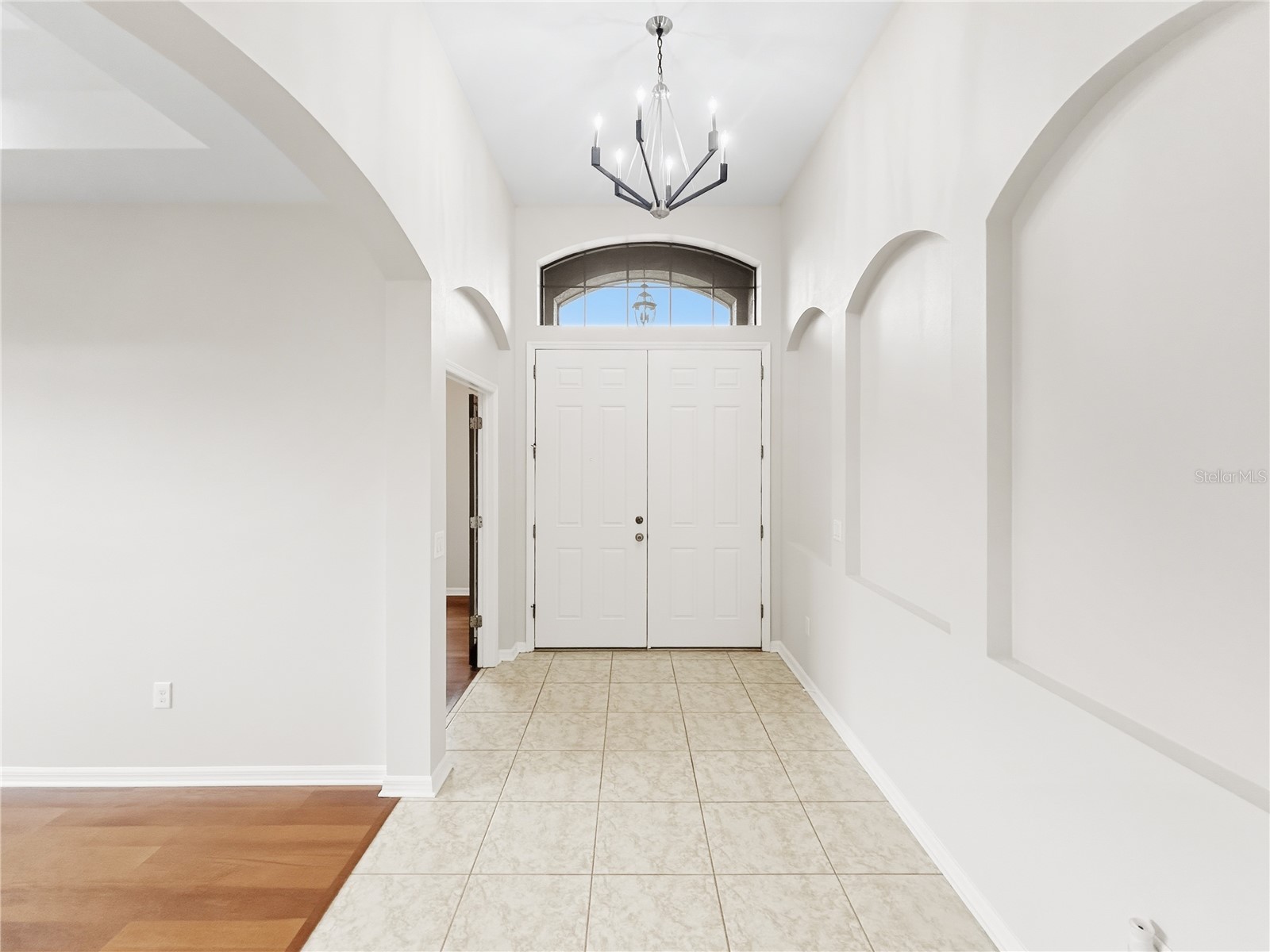 8437 White Poplar Drive Riverview FL 33578 TB8481470 image4