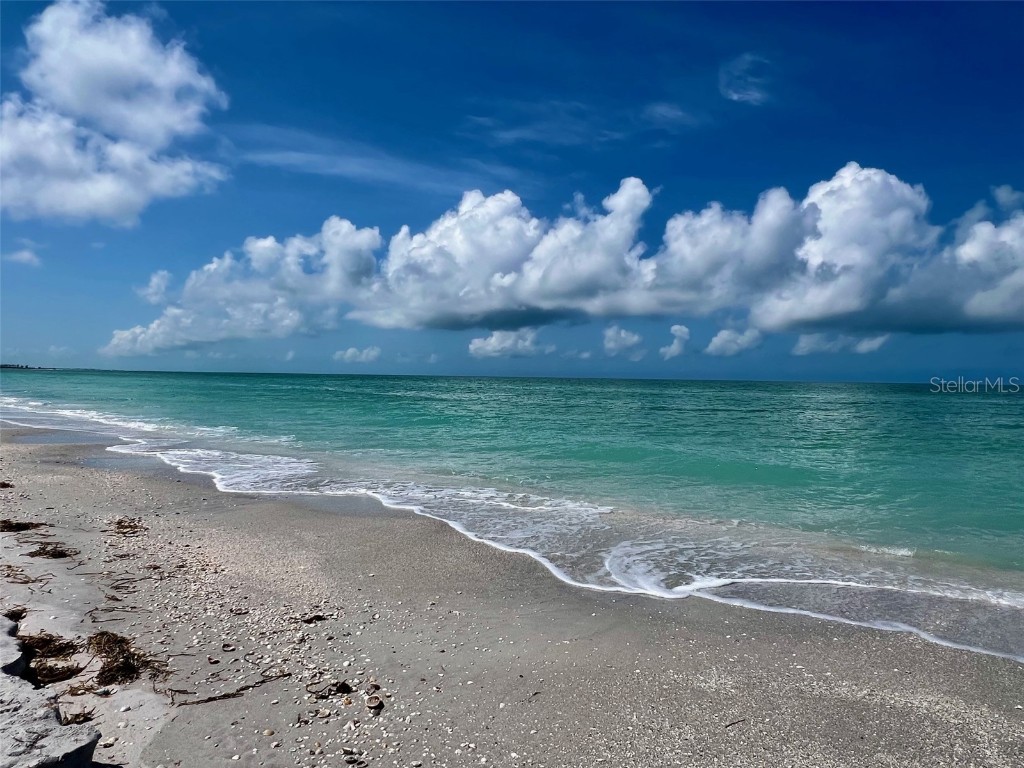 8438 Little Gasparilla Island Placida FL 33946 D6141779 image12