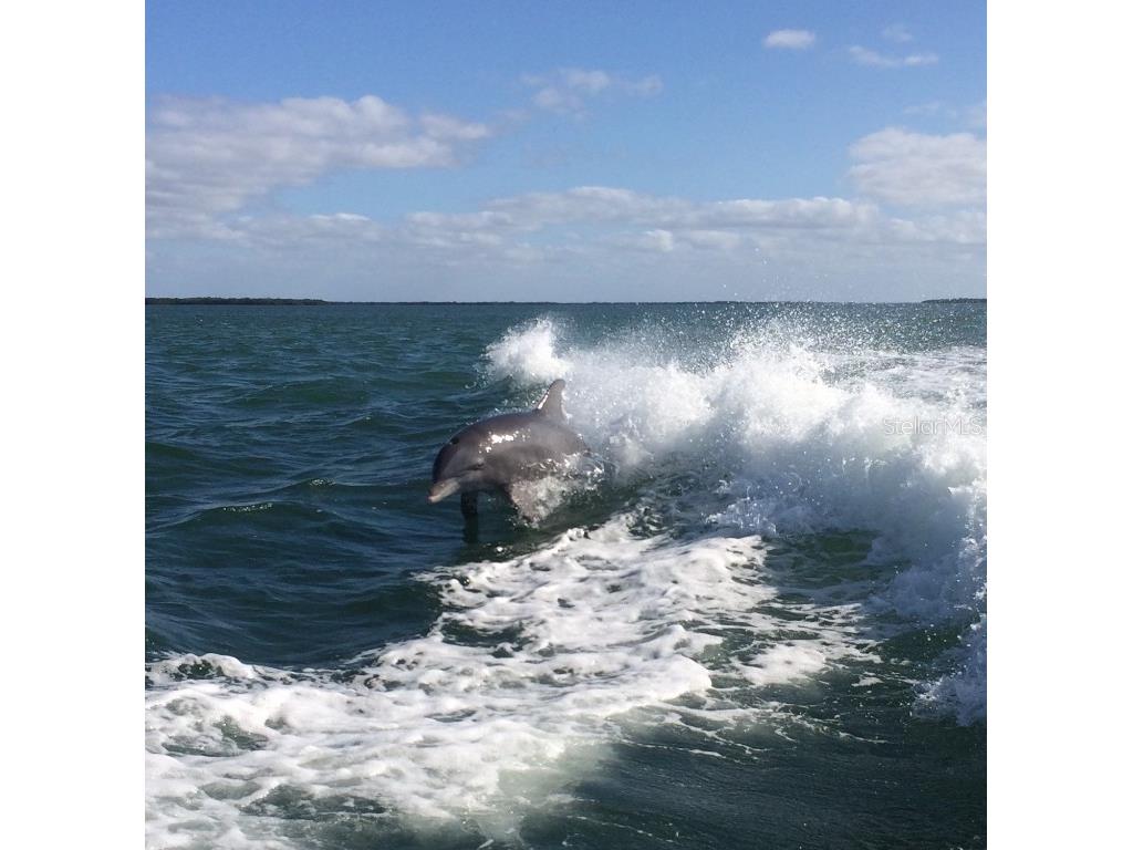 8438 Little Gasparilla Island Placida FL 33946 D6141779 image22