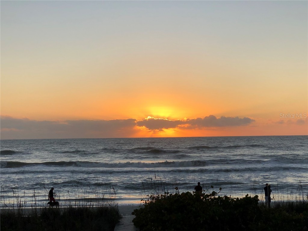 8438 Little Gasparilla Island Placida FL 33946 D6141779 image25